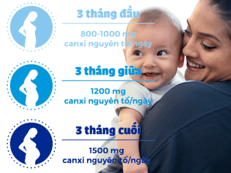 Nhu cầu canxi cho phụ nữ mang thai