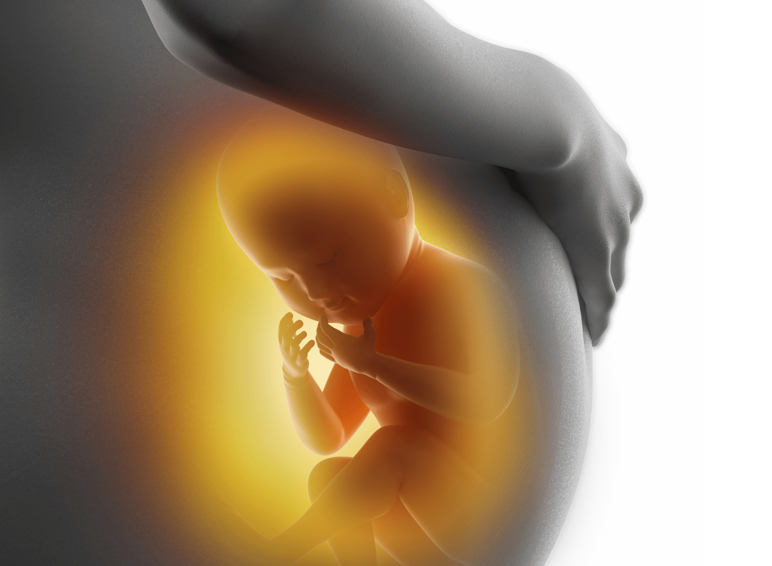 Bổ sung axit folic giúp thai nhi phát triển hệ thần kinh và não bộ