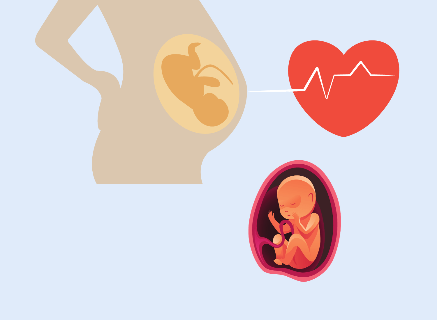 Dị tật bẩm sinh ở thai nhi