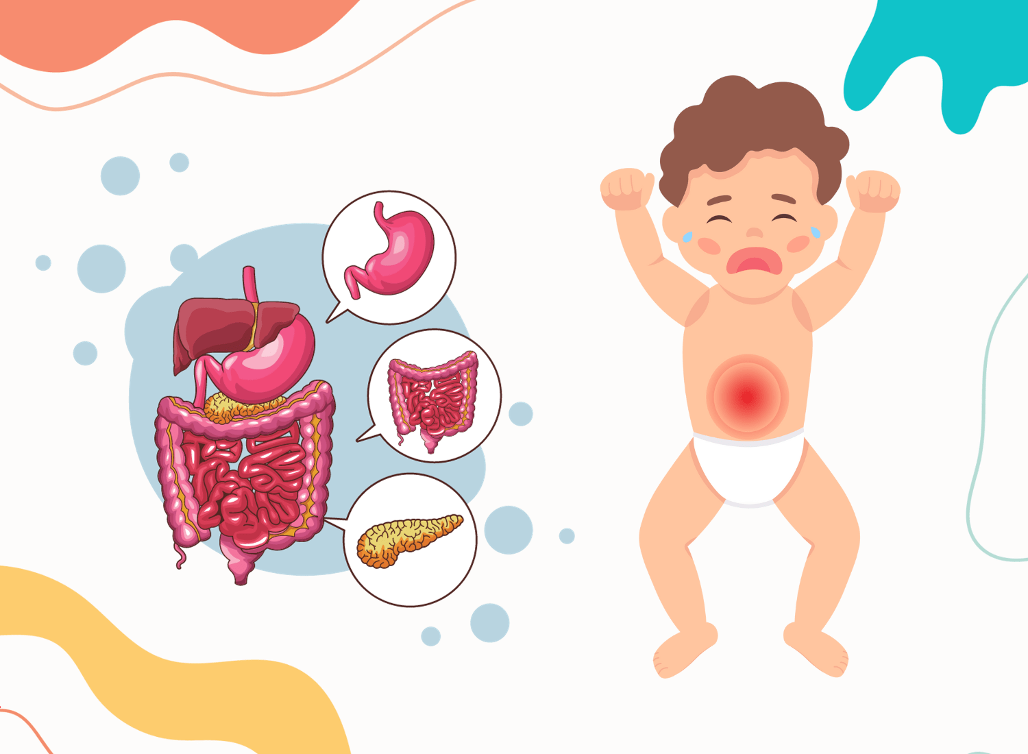 Trẻ sơ sinh và trẻ nhỏ có hệ tiêu hoá nhạy cảm hơn so với người lớn