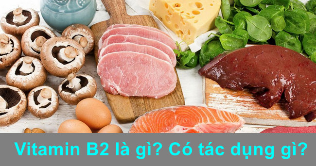 vitamin b2 la gi